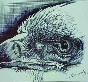 Pencil Work